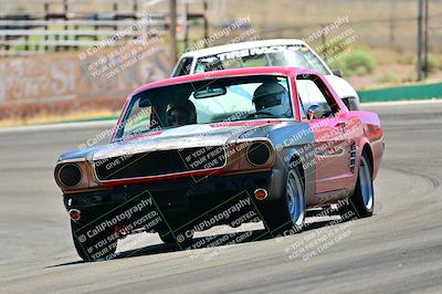 media/May-11-2025-Cobra Club (Sun) [[44ca44ec33]]/Passenger/